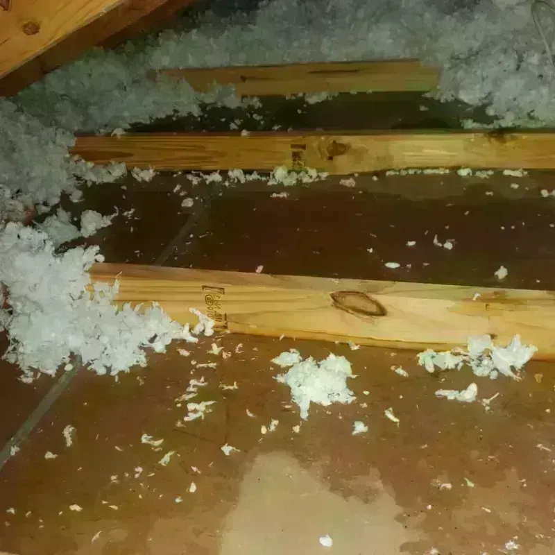 Attic Water Damage in Round Lake, IL