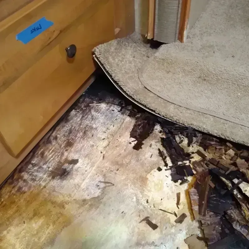 Wood Floor Water Damage in Round Lake, IL